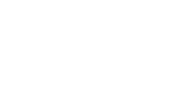 Data rapportages